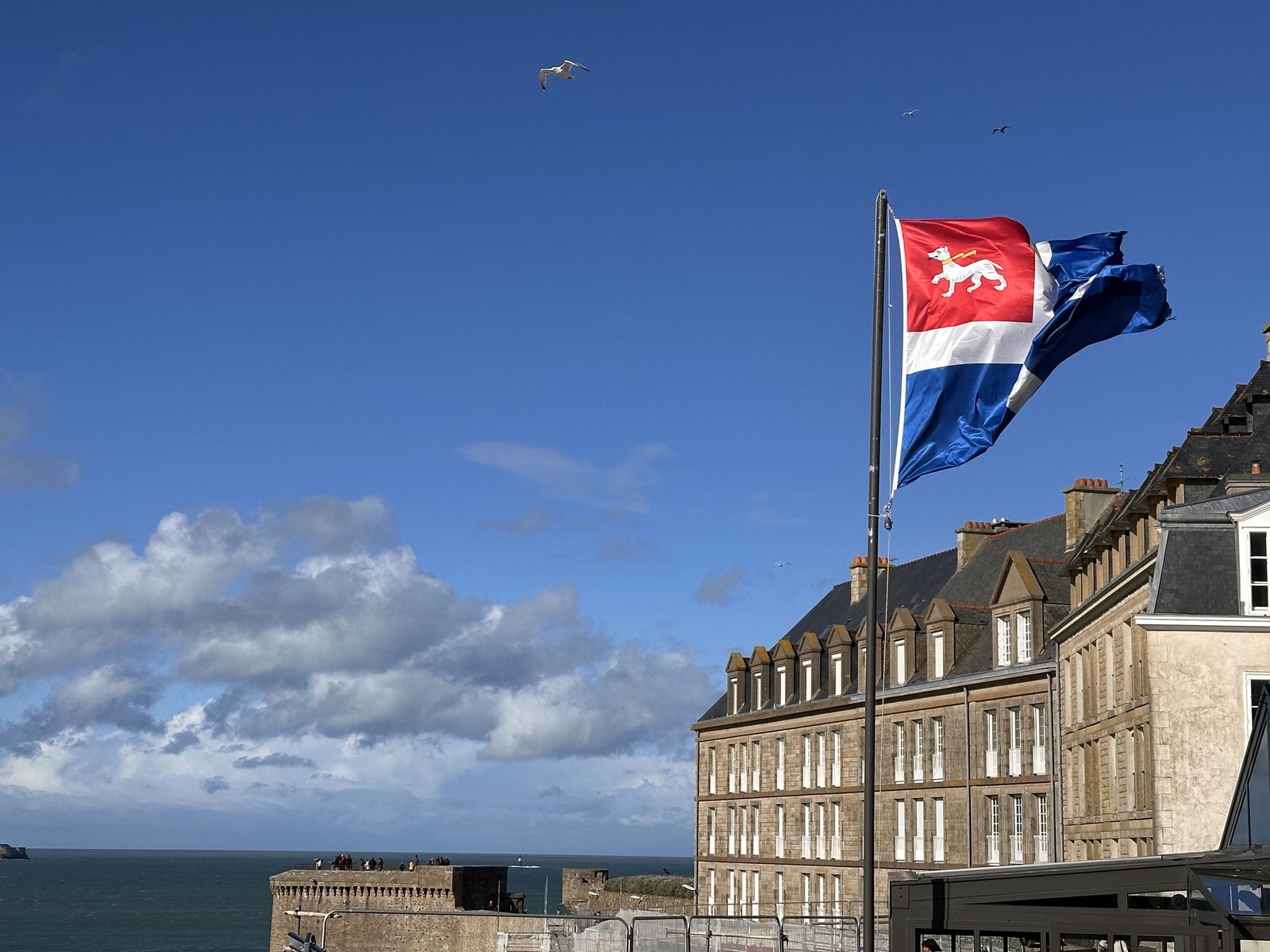 Le drapeau de Saint-Malo — un chien blanc sur fond rouge, l'hermine bleue et blanche — claque au vent au-dessus des remparts ; derrière, les maisons de granit de la ville close, des mouettes et la mer.